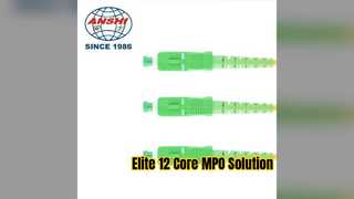 Волоконно-оптический патч-корд Elite MPO, 12-ядерное сетевое решение G652D